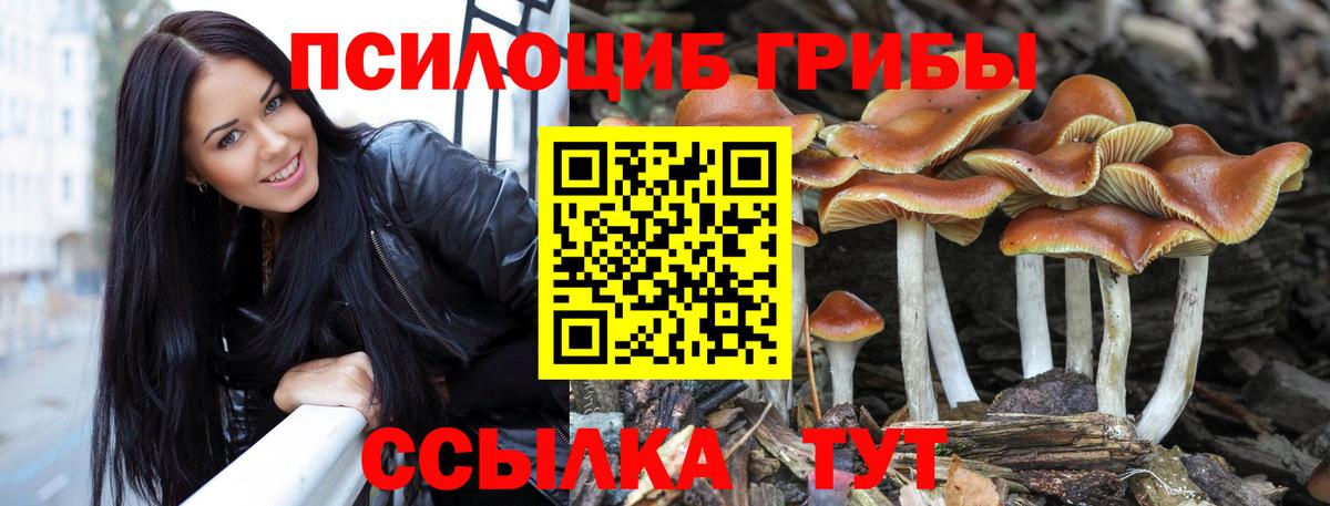 Псилоцибиновые грибы Cubensis Набережные Челны