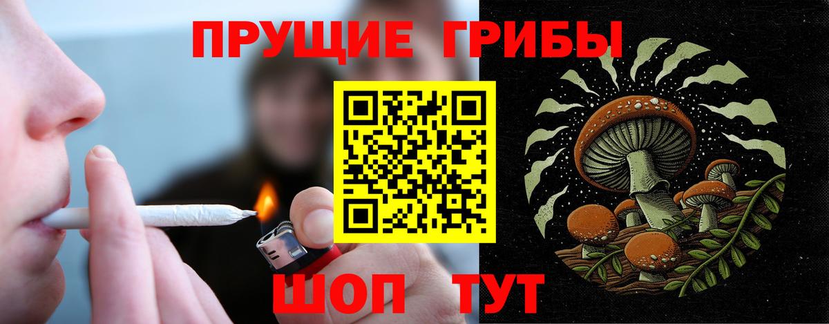 Псилоцибиновые грибы Magic Shrooms  Вход с VPN  Набережные Челны  Псилоцибиновые грибы GOLDEN TEACHER 